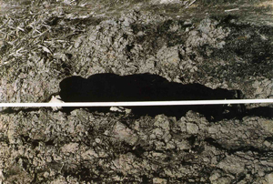 VALIE EXPORT Dichotomy, 1982