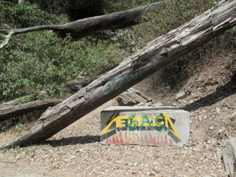 Alexandre Estrela, Metálica, 2009