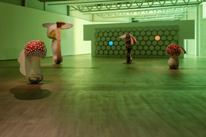 Carsten Höller Carsten Höller