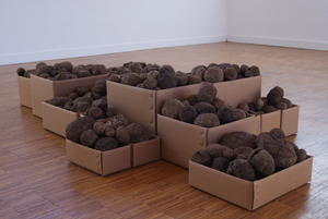 Sheela Gowda
Stock, 2011 Sheela Gowda
Stock, 2011