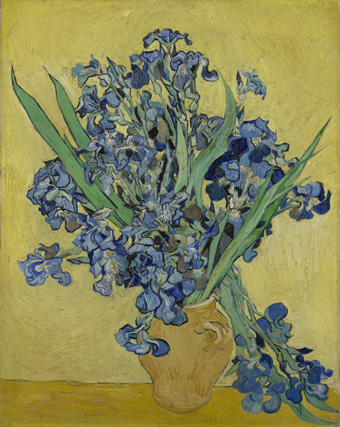 Vincent Van Gogh, Irises, May 1890