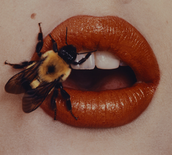 Irving Penn, Bee. New York, 1995