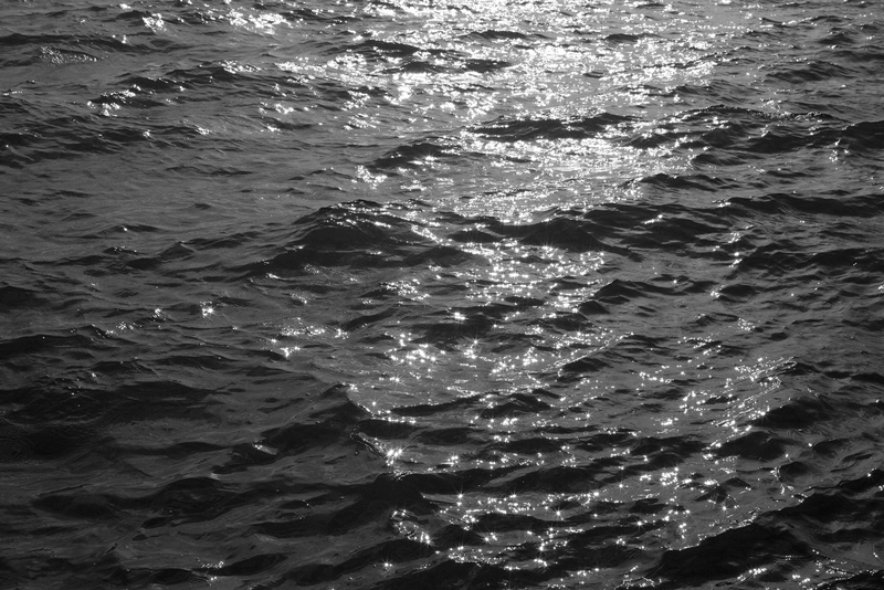 Driftwood, or how we surfaced through currents