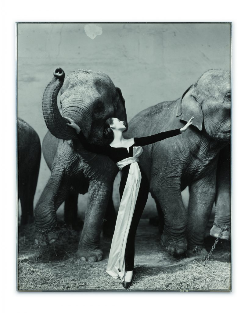 Paris Photography Sales