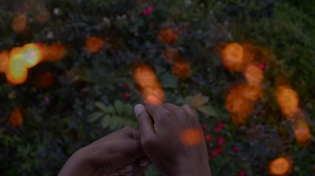 Minia Biabiany: Musa Nuit