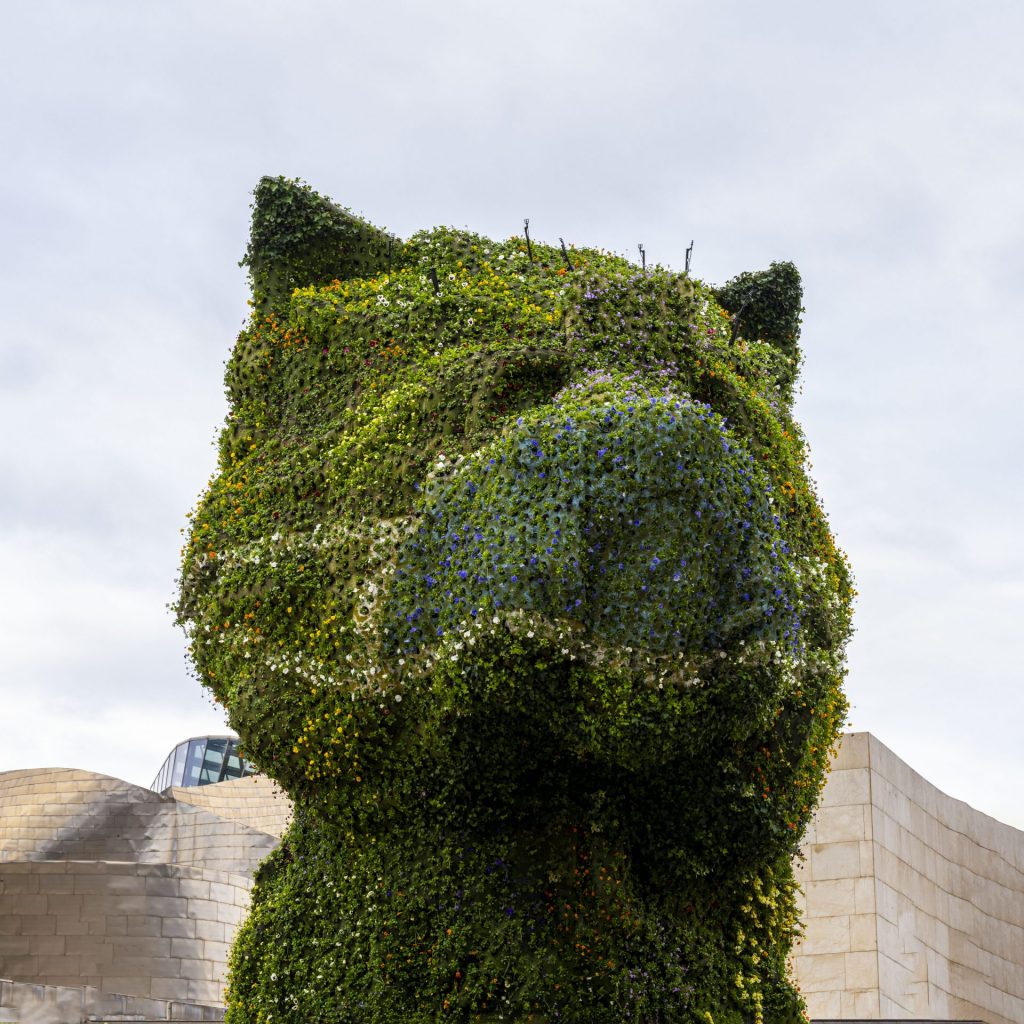Icon Jeff Koons’ puppy sports a face mask