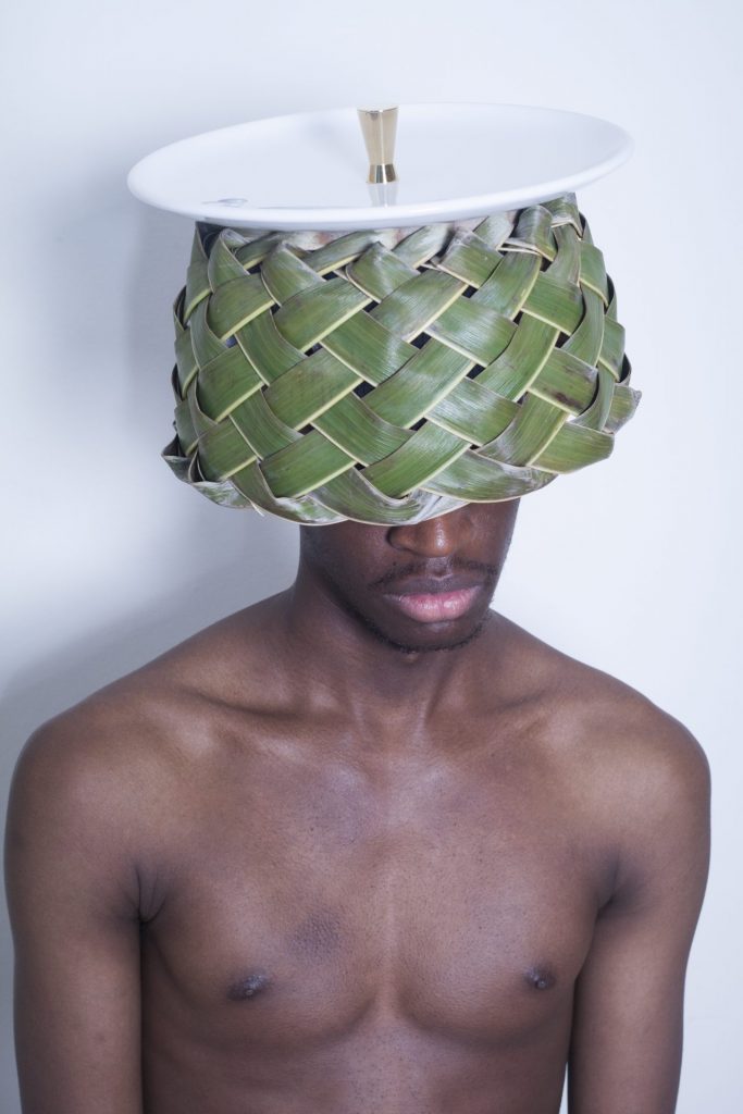 PLANT FEVER : VERS UN DESIGN PHYTO-CENTRÉ