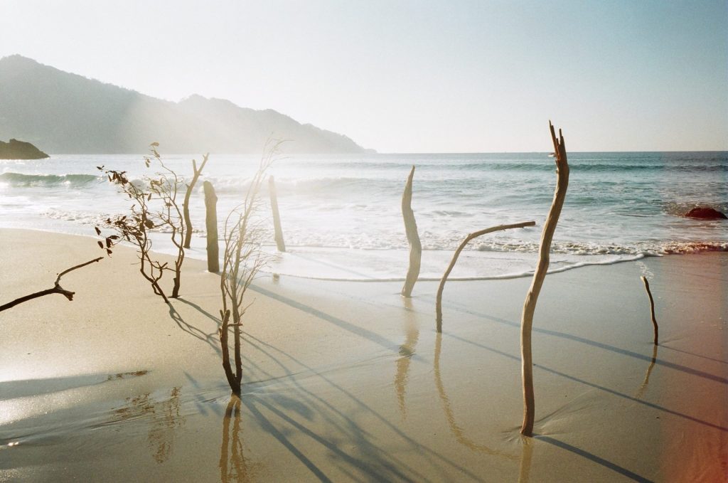 SHIMABUKU LA SIRÈNE DE 165 MÈTRES ET AUTRES HISTOIRES