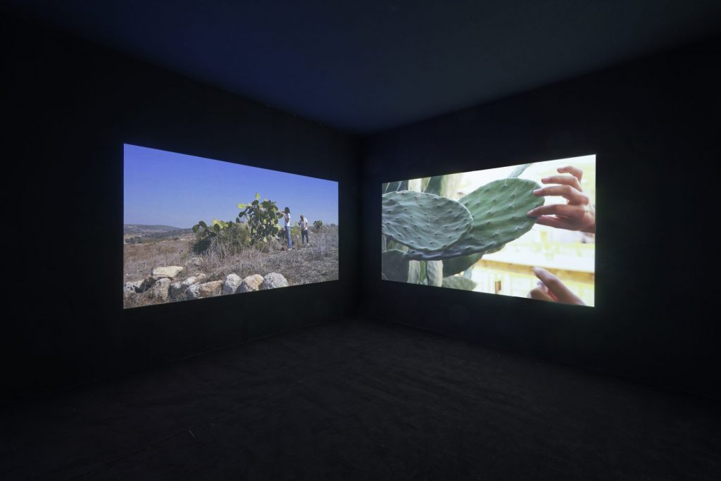 BROGNON ROLLIN – THE PENULTIMATE VERSION OF REALITY