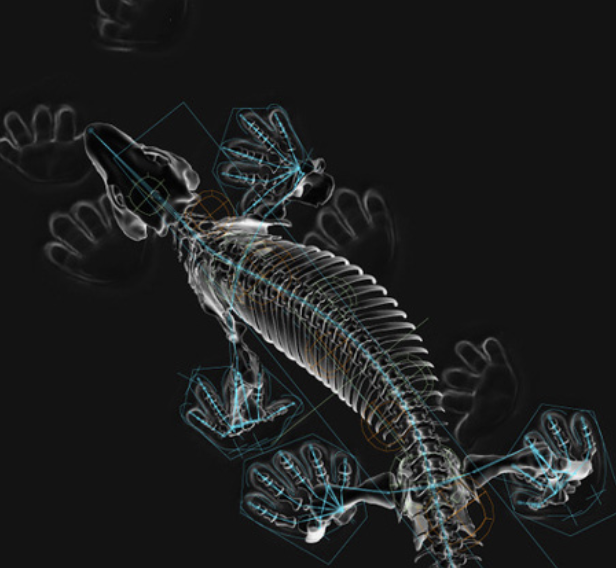 BIOMEDIA. THE AGE OF MEDIA WITH LIFE-LIKE BEHAVIOR