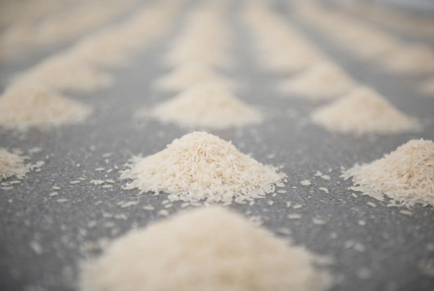 WOLFGANG LAIB. CROSSING THE RIVER