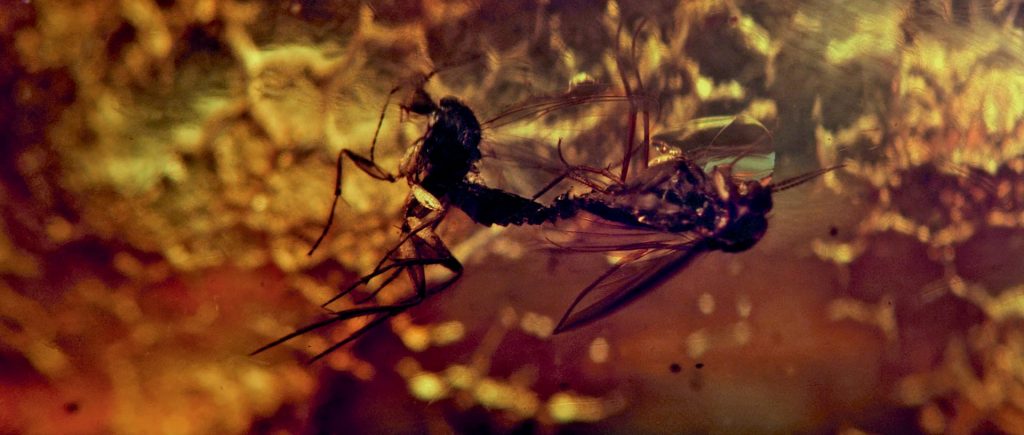 PIERRE HUYGHE – OFFSPRING