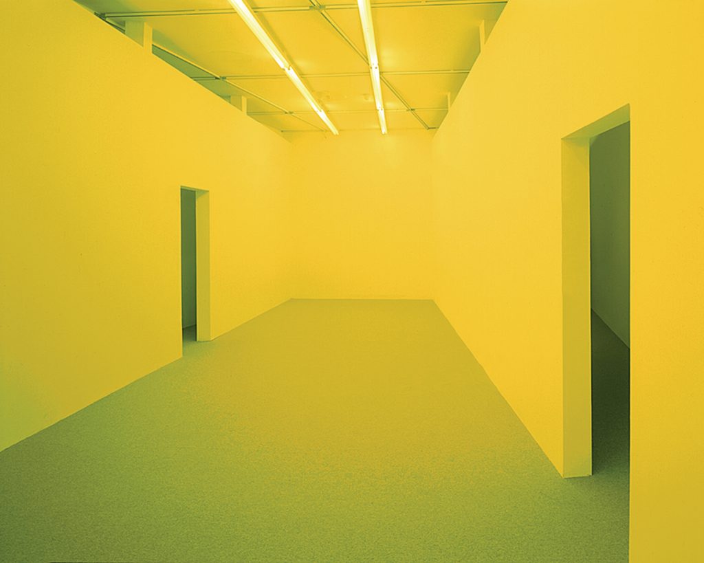 BRUCE NAUMAN – NEONS CORRIDORS ROOMS