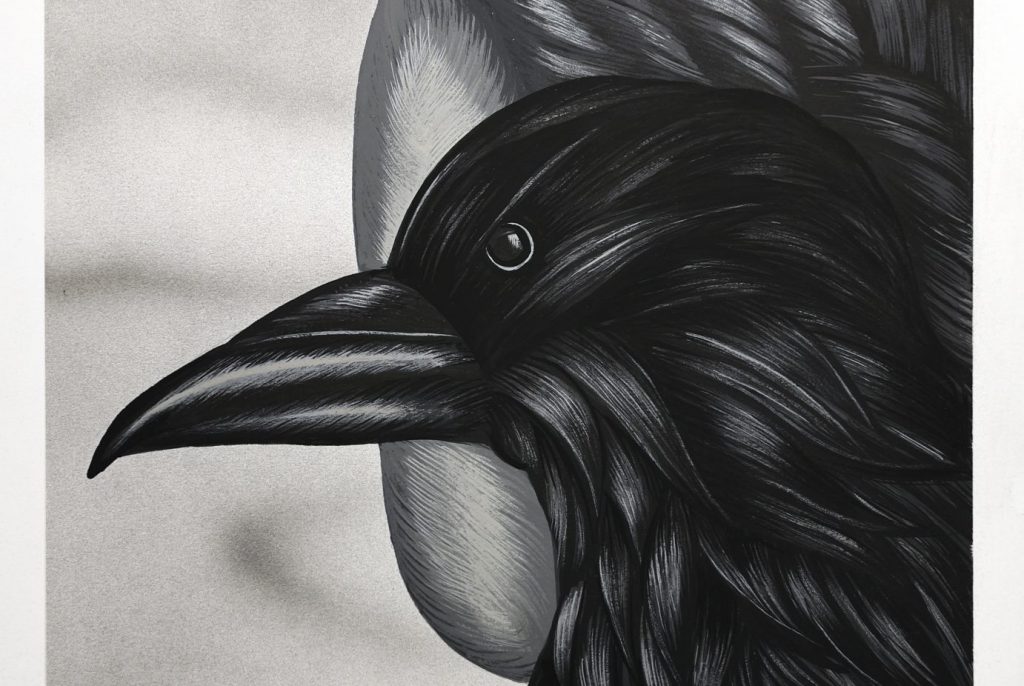 RARA AVIS – CURATED BY JERRY STAFFORD