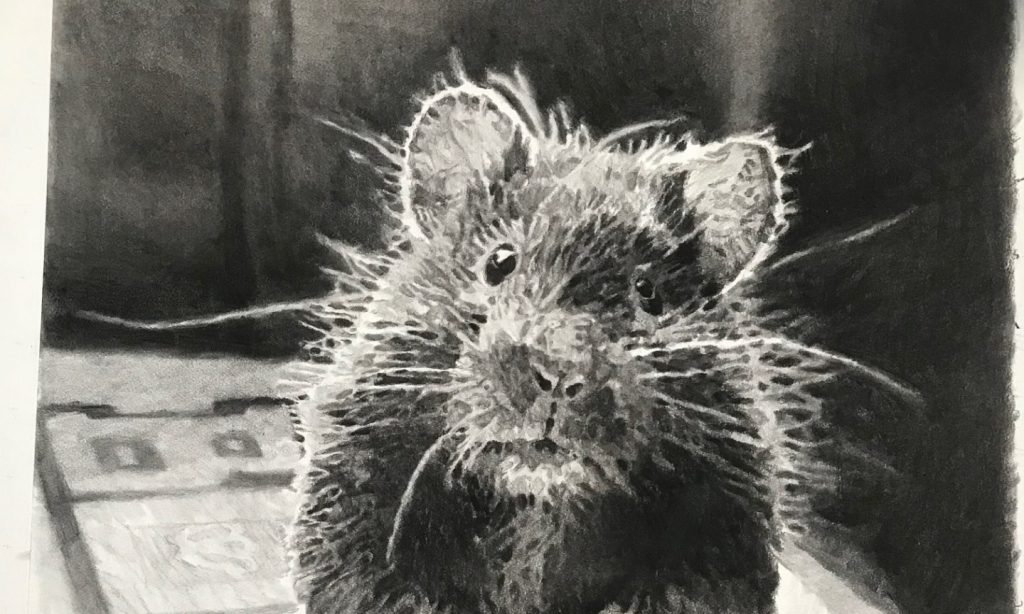 JÉRÔME ZONDER | JOYEUSE APOCALYPSE !