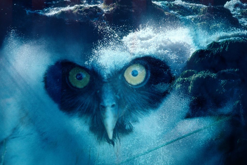 CLAUDIA ANDUJAR. THE END OF THE WORLD