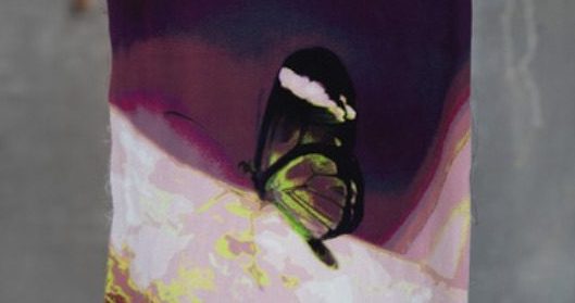 INARI SANDELL. “BUTTERFLY LOGIC”