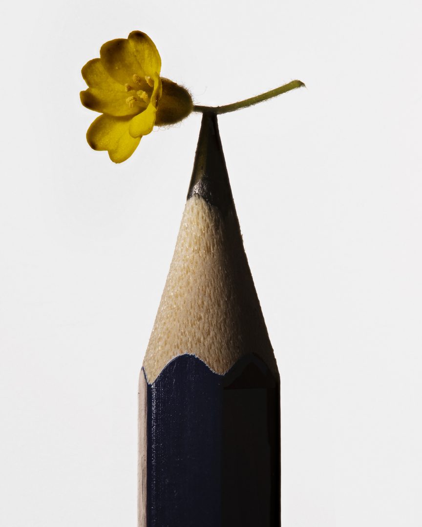 POUR TOUT FAIRE, IL FAUT UNE FLEUR