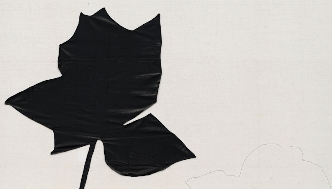 JANNIS KOUNELLIS: IO SONO UN PITTORE